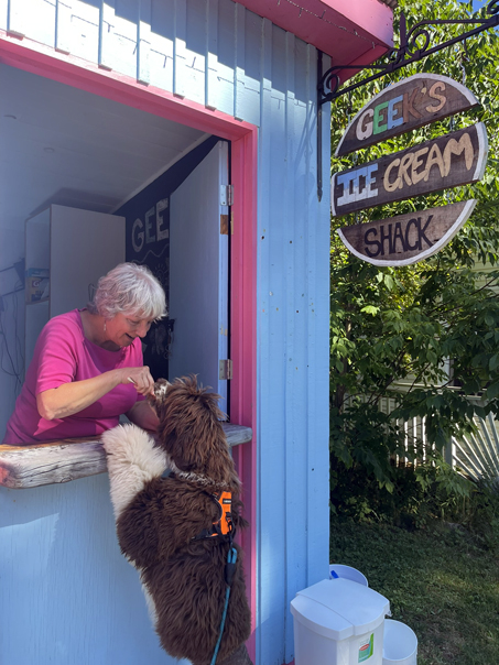 Endless River Portuguese Water Dog enjoying ice cream in New Brunswick